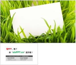 绿色植物草地白色卡片PPT背景图片