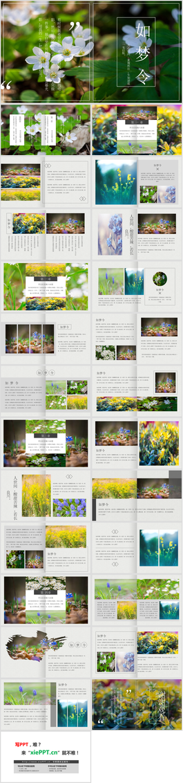 清新绿色植物图片排版杂志风PPT模板
