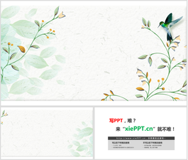 两张水彩花鸟PPT背景图片
