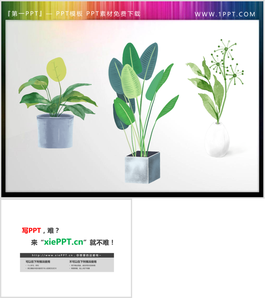 三张绿色水彩盆景植物PPT素材