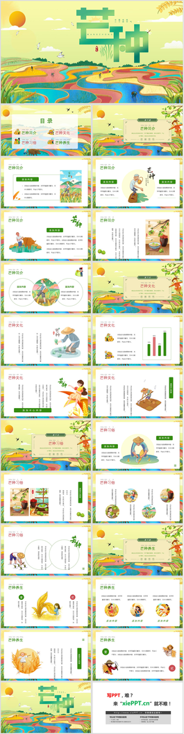 色彩饱满稻田背景的芒种节气PPT模板