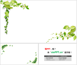 两套绿色叶子PPT模板边框背景图片