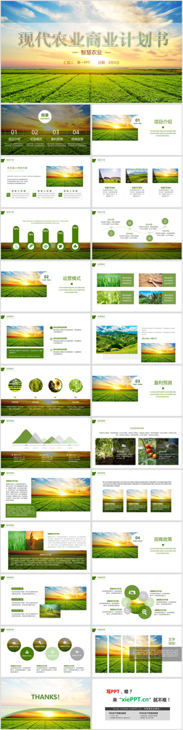 绿色现代农业商业计划书PPT模板