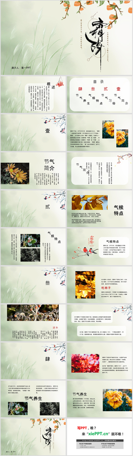 绿色清爽霜降节气介绍PPT模板
