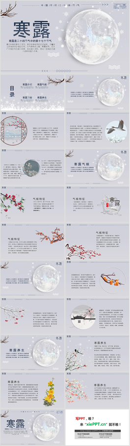 雪景与小鹿背景的寒露节气介绍PPT模板